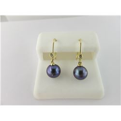 533-10571:10K yellow gold and black pearl earrings