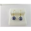 Image 1 : 533-10571:10K yellow gold and black pearl earrings