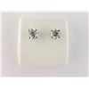 Image 1 : 174-11828:14k White Gold Diamond Studs