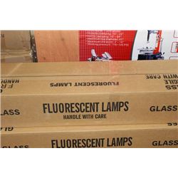 BOX OF 24  20 WATT FLUORESCENT LIGHTS