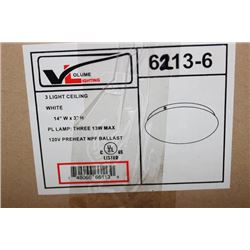 FLUSH MOUNT CEILING FIXTURE X2