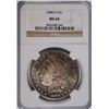 Image 1 : 1880-S MORGAN DOLLAR NGC MS-64 RAINBOW TONE