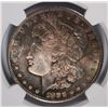 Image 2 : 1880-S MORGAN DOLLAR NGC MS-64 RAINBOW TONE