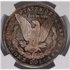 Image 3 : 1880-S MORGAN DOLLAR NGC MS-64 RAINBOW TONE