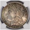 Image 2 : 1887 MORGAN DOLLAR NGC MS-64 COLOR