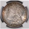 Image 2 : 1888 MORGAN DOLLAR NGC MS-64