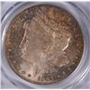 Image 2 : 1904-O MORGAN DOLLAR PCGS MS-64 TONED