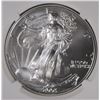 Image 2 : 2003 AMERICAN SILVER EAGLE NGC MS-69!