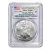 Image 1 : 2013 (W) Silver American Eagle MS-70 PCGS - First Strike