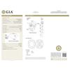 Image 2 : GIA/Cusion/FANCY-CLR/SI1/0.71