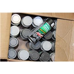 CASE OF MOTOMASTER TOUCH-UP PAINT