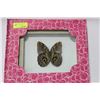 Image 1 : FRAMED ATLAS MOTH X2