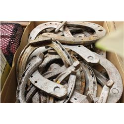 TRAY OF AUTHENTIC HORSE SHOES