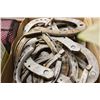 Image 1 : TRAY OF AUTHENTIC HORSE SHOES
