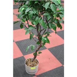 ESTATE ARTIFICIAL PLANT ON CHOICE