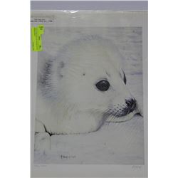 BABY HARP SEAL BY R.FEHR 194/500 SIGNED PRINT