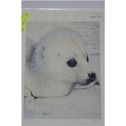 BABY HARP SEAL BY R.FEHR 293/500 SIGNED PRINT