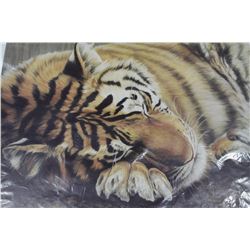 'SLEEPING BEAUTY'  BY GAIL ADAMS SIGNED PRINT