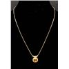 Image 1 : 14K YELLOW GOLD PENDANT & CHAIN