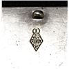 Image 2 : VICTORIAN ENAMELED STERLING PIN