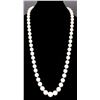 Image 1 : SUPERIOR SOUTH SEA PEARL NECKLACE