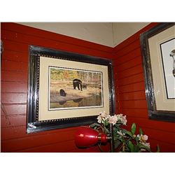 FRAMED LIMITED EDITON PRINT - BLACK BEAR FAMILY - CLAUDIO D'ANGELO - GALLERY ESTIMATE $500