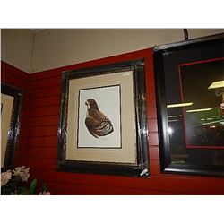 FRAMED LIMITED EDITON PRINT - RED TAILED HAWK - RAY HARM - GALLERY ESTIMATE $450