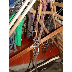 BRIDLE WITH METAL BIT