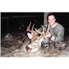 Image 2 : Trophy Mule & White Tail Deer Rut Combo Hunt