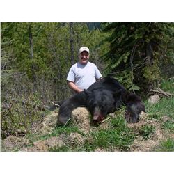 Mountain Black Bear Hunt