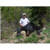 Image 1 : Mountain Black Bear Hunt