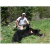 Image 3 : Mountain Black Bear Hunt