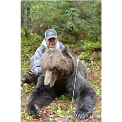 Coastal Grizzly Bear Hunt