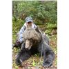 Image 1 : Coastal Grizzly Bear Hunt