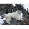Image 3 : Thompson Mountain Goat Hunt