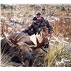 Image 2 : Moose Hunt in the Cariboo