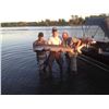Image 5 : Fraser River Sturgeon Fishing Trip for 2