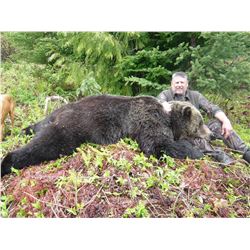 Spring Kootenay Grizzly Bear Hunt