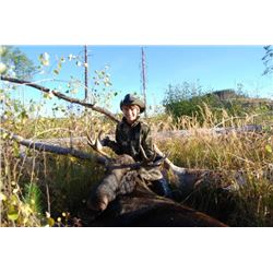 Shiras Moose Hunt