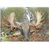 Image 2 : Shiras Moose Hunt