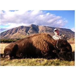 Plains Bison Hunt