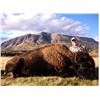 Image 1 : Plains Bison Hunt