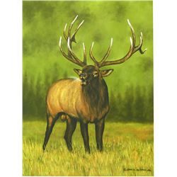 Artist of the Year Entry " Bull Elk Bugling"
