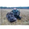 Image 3 : GRIZZLY, MOOSE & WOLF COMB HUNT