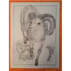 Artist of the Year Entry - With Age Comes Beauty