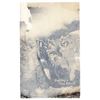 Image 1 : Men In Trench WWI