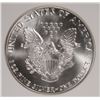 Image 3 : 1986 AMERICAN SILVER EAGLE, PCI MS-70 BOOKS FOR $800.00