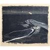 Image 1 : Morris Graves, Wounded Gull, Lithograph
