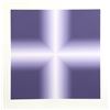 Image 1 : Babe Shapiro, Purple v. 1, Silkscreen