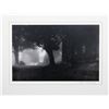 Image 1 : Thomas McCartney, The Farm (Fog) Vermont, Photograph